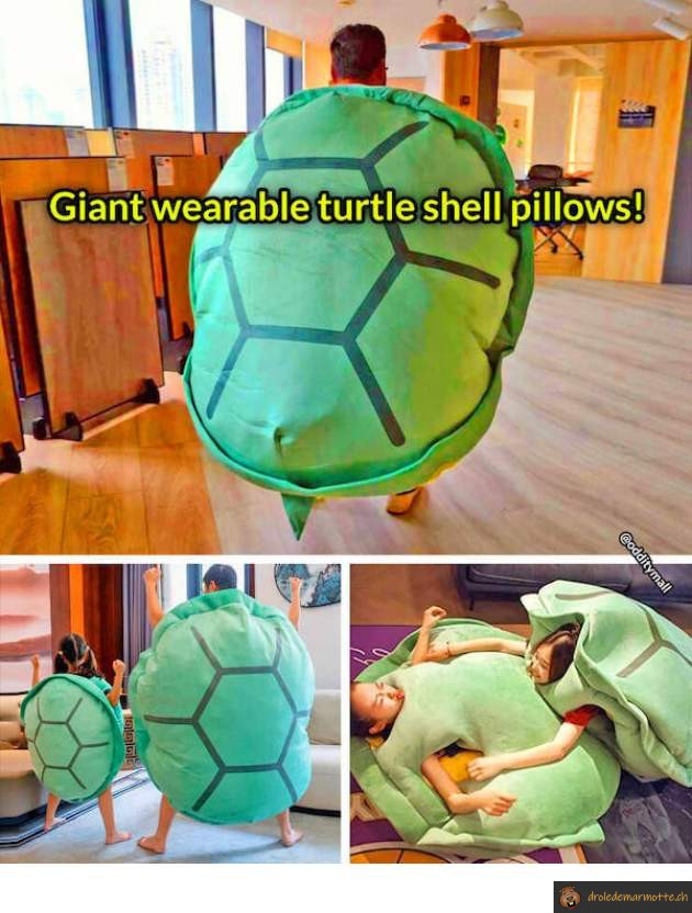 Coussin tortue géant