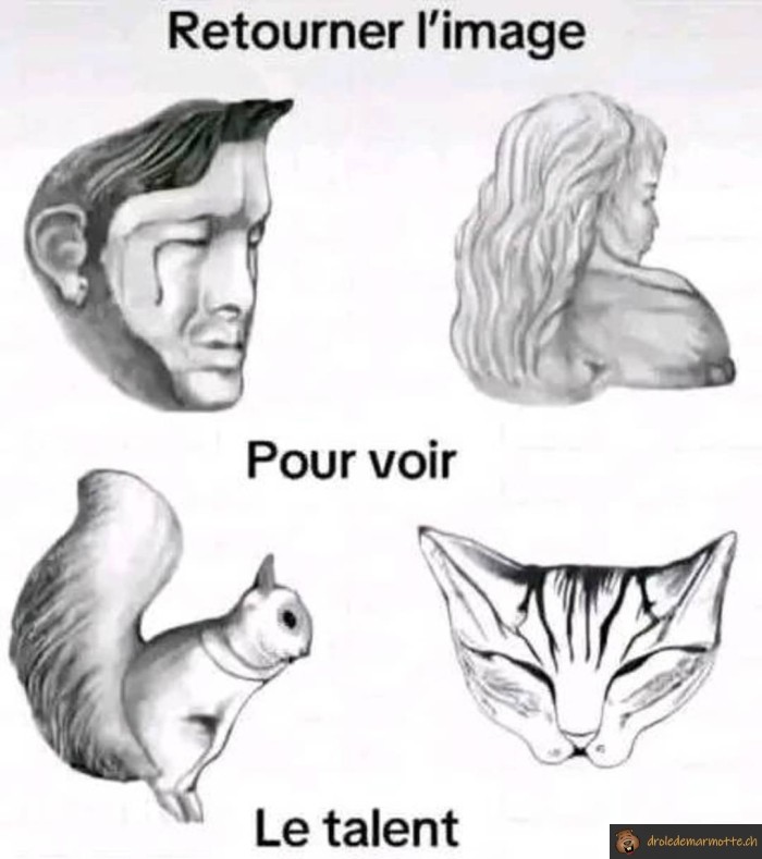 Dessin à retourner
