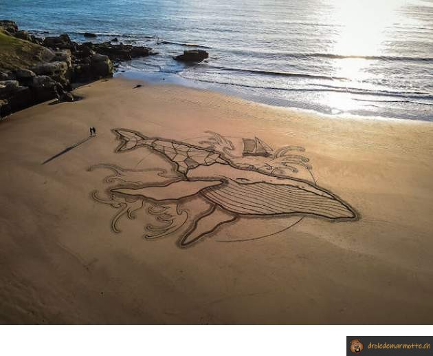 Dessin baleine sur la plage