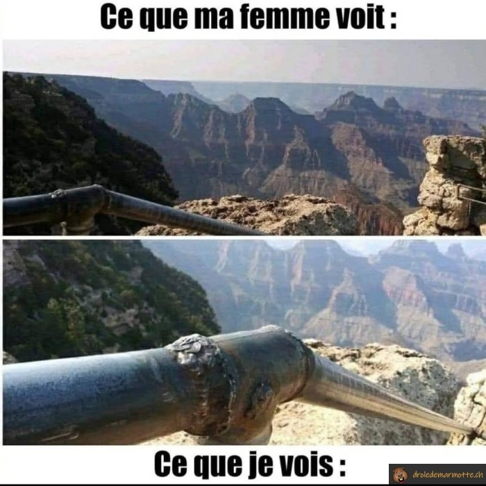 Différence de vision entre femme et homme