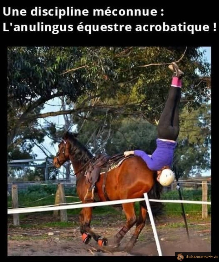 Discipline equestre méconnue