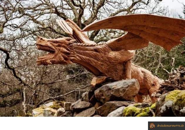 Dragon de bois