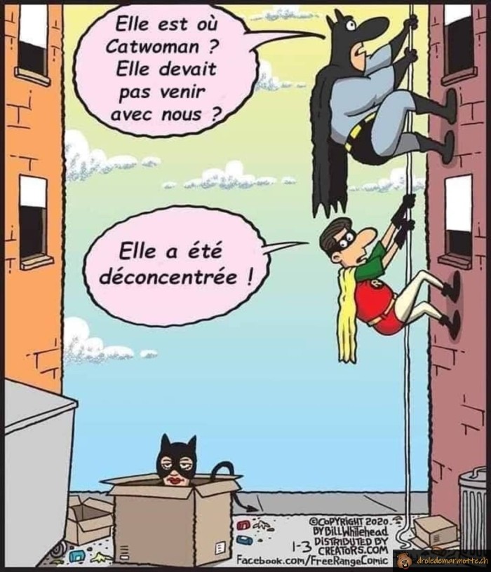 Elle est où Catwoman?
