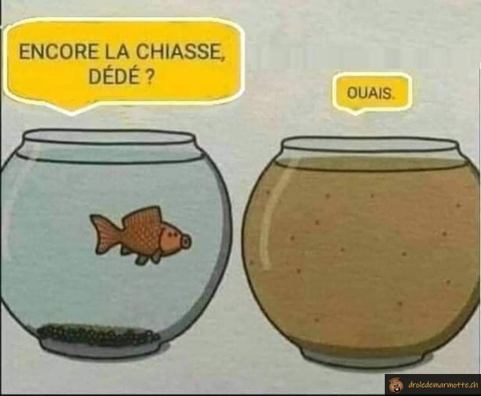 Encore la chiasse?