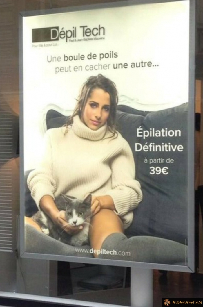 Epilation du chat