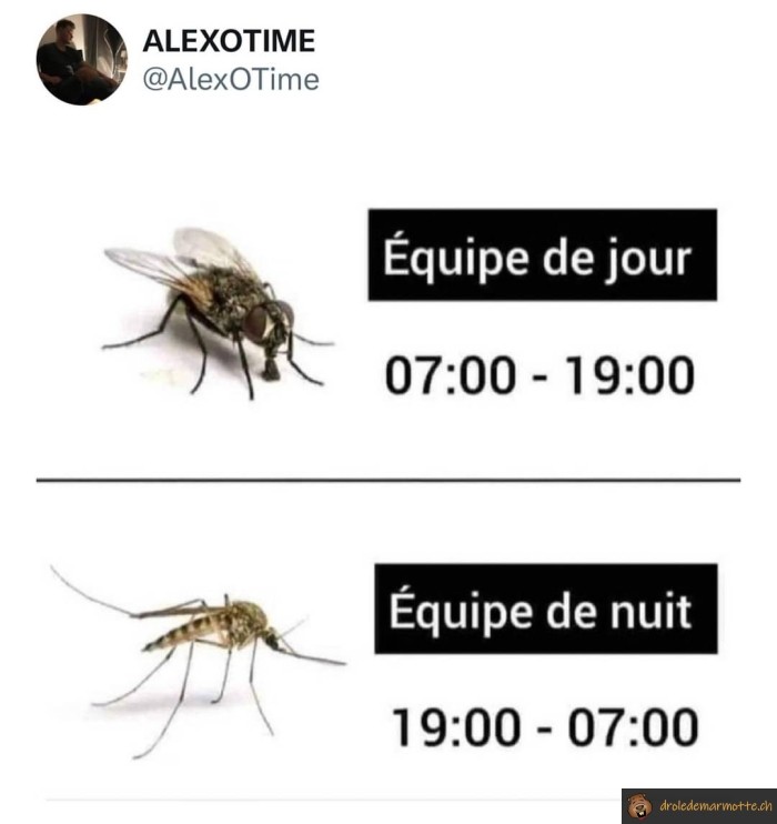 Equipe de jour et de nuit en été