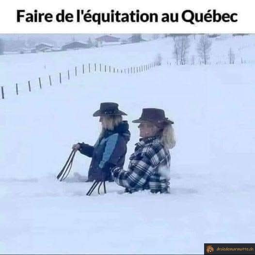Equitation au Québec
