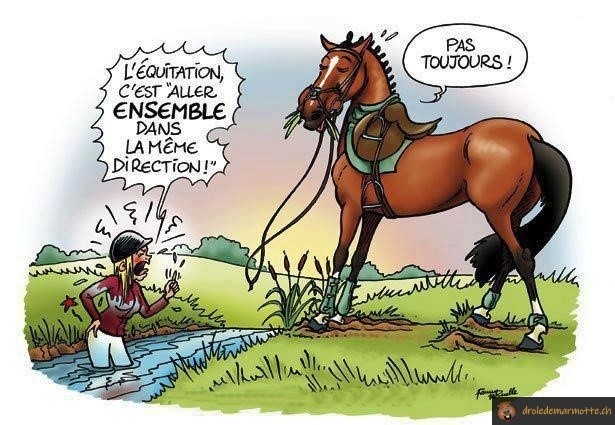 Equitation ensemble