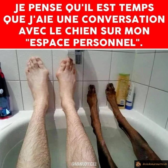 Espace personnel avec le chien