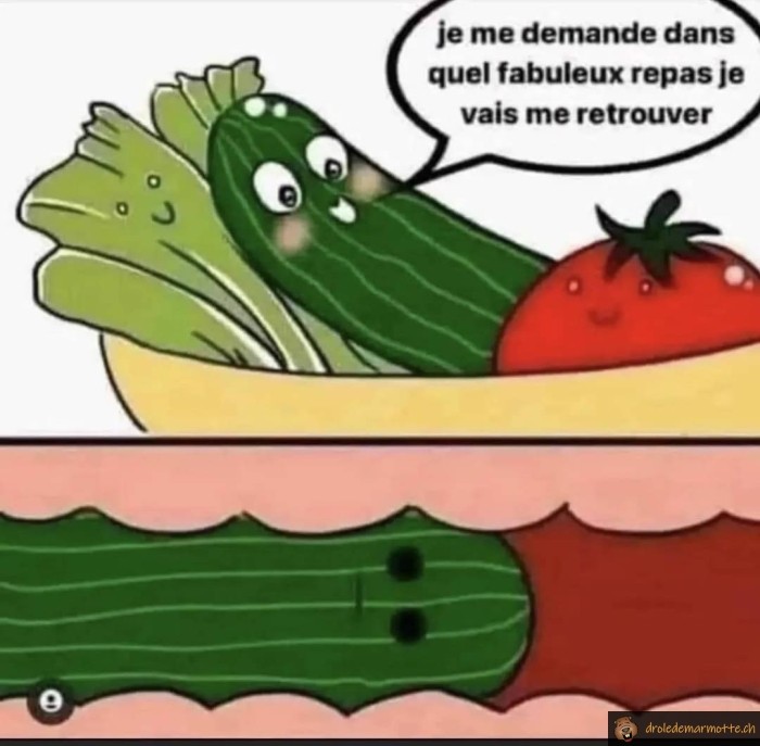 Fabuleux repas légume