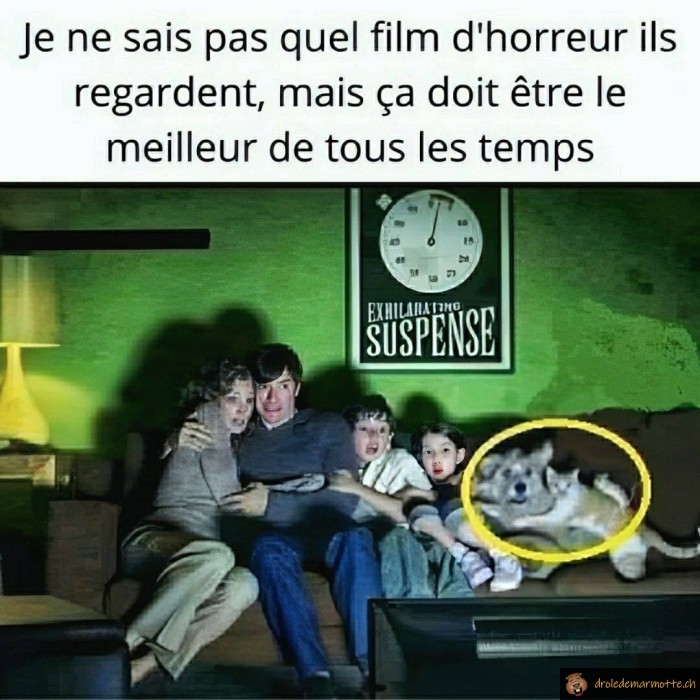 Film d'horreur ultra flippant
