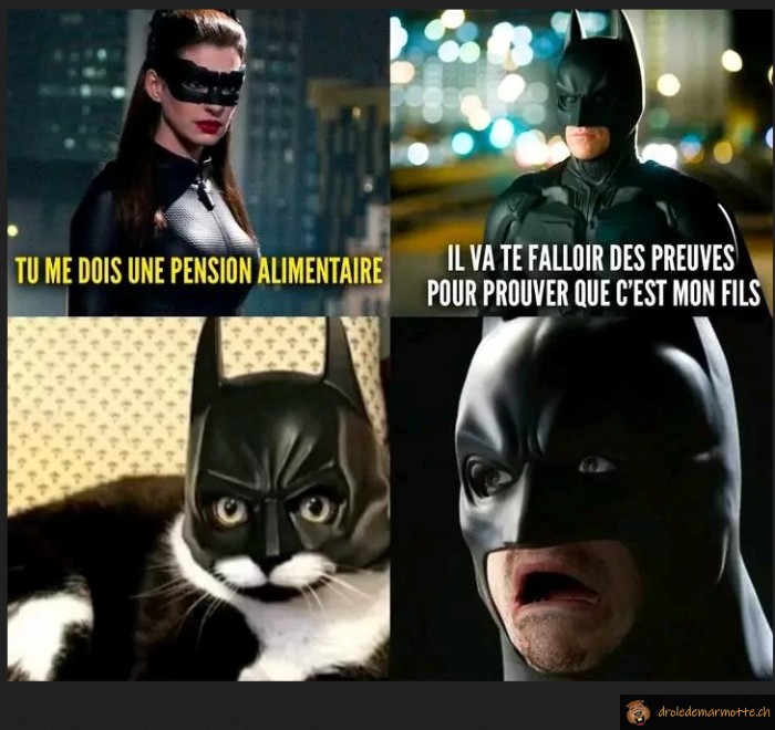 Fils de batman