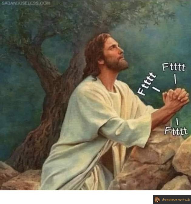 Fttt fttt