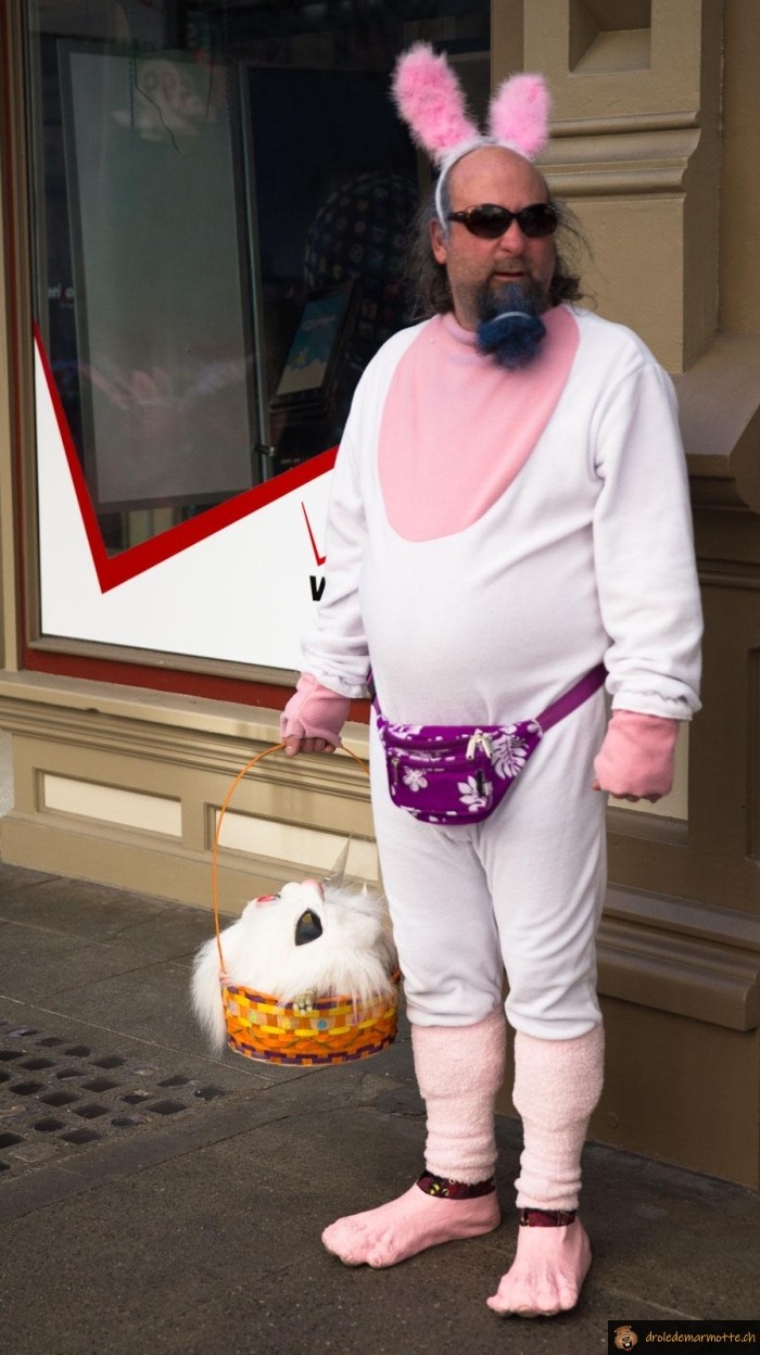 Gros lapin flippant