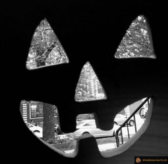 Halloween citrouille rue