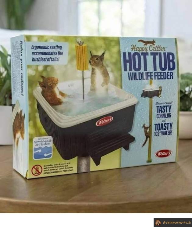 Jacuzzi pour ecureuil