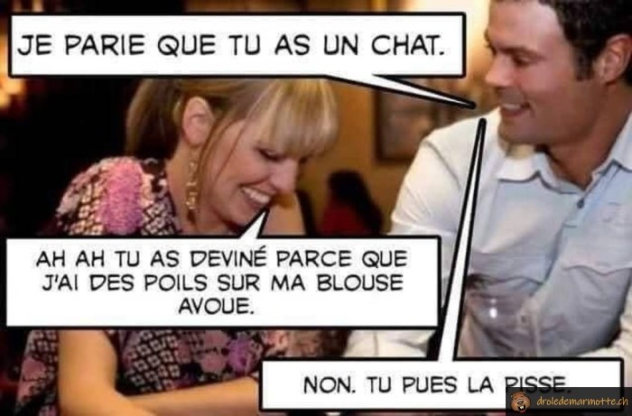 Je parie que tu as un chat
