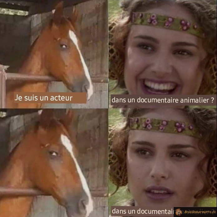 Je suis acteur