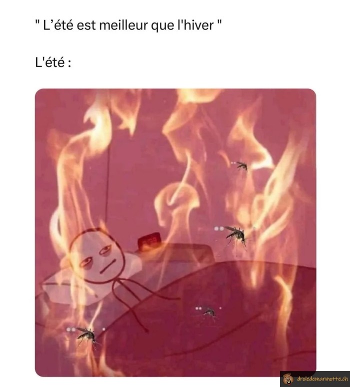 L'été est meilleur que l'hiver