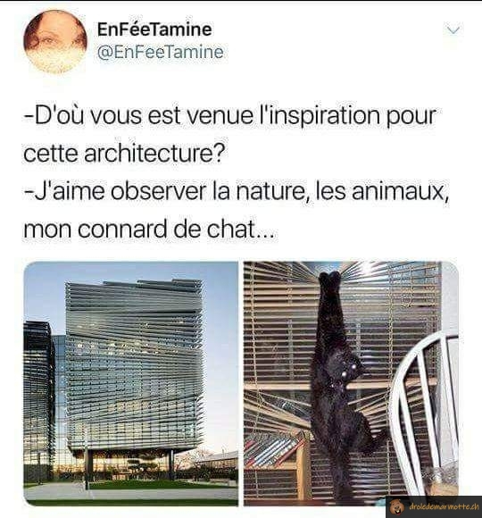 L'inspiration des architectes