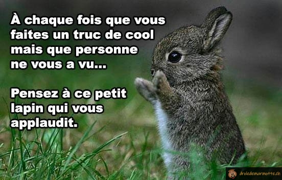 Lapin qui applaudit