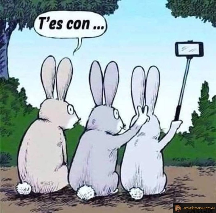 Lapins selfie