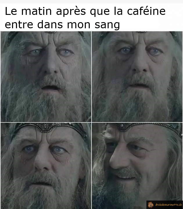 Le matin et la caféine