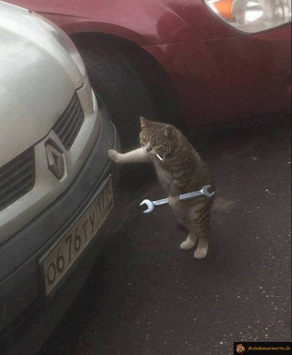 Le Méchatno