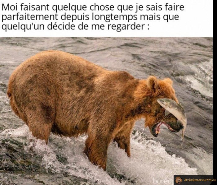 Le stress du public