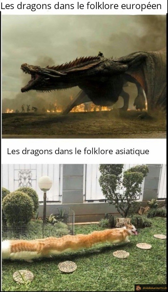 Les dragons en Europe et Asie
