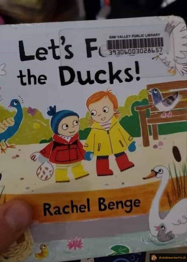 Let's F the ducks