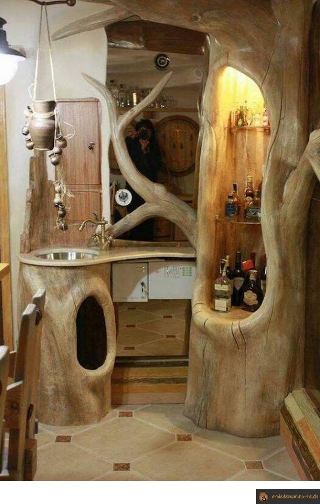 Maison arbre cuisine