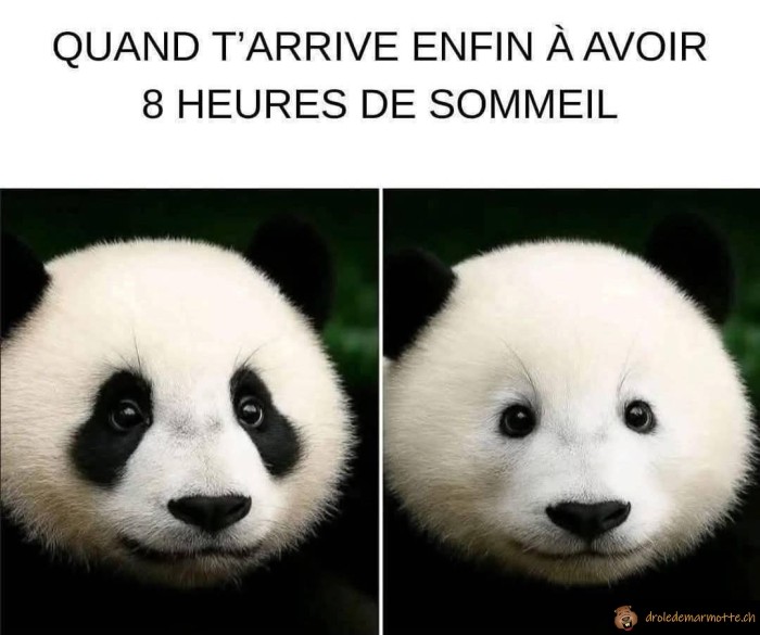 Manque de sommeil