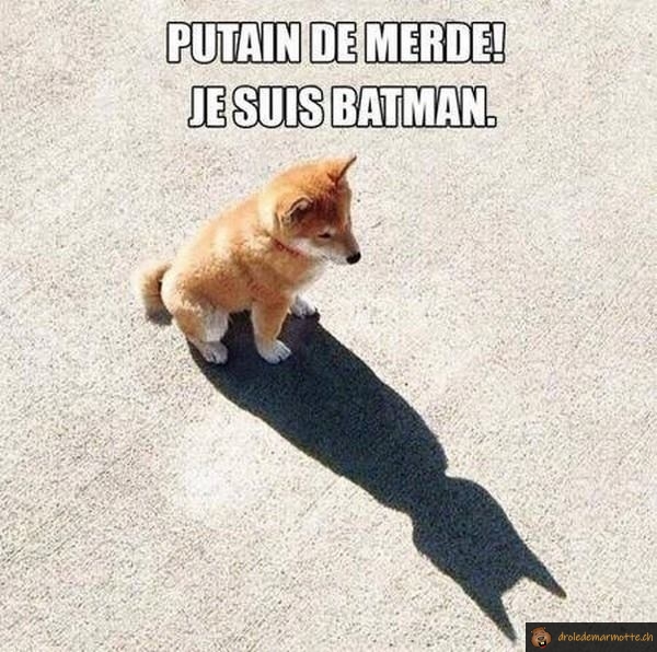 Merde, je suis batman