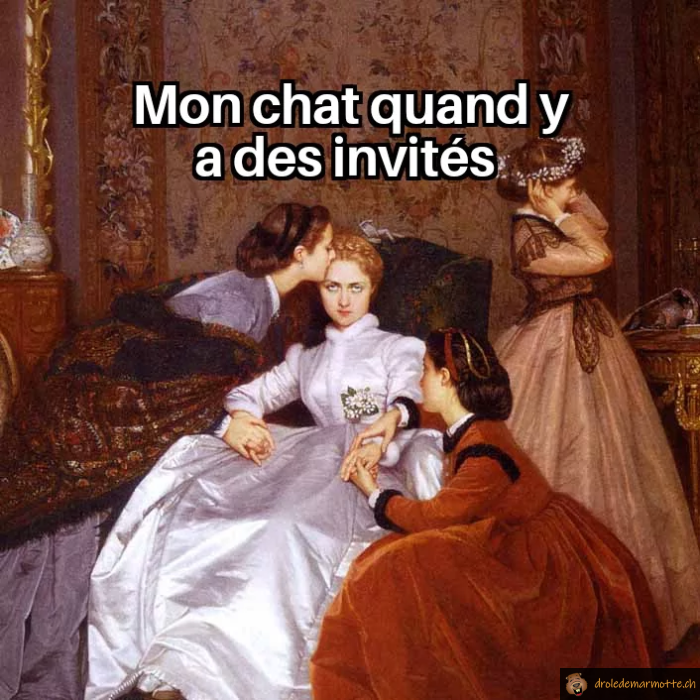 Mon chat quand il y a des invités