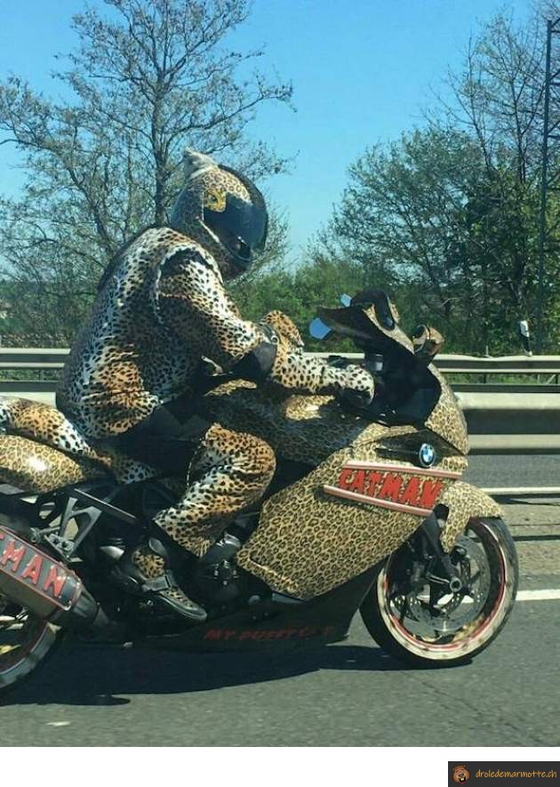 Moto BMW leopard