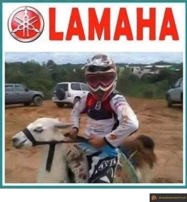 Moto Lamaha