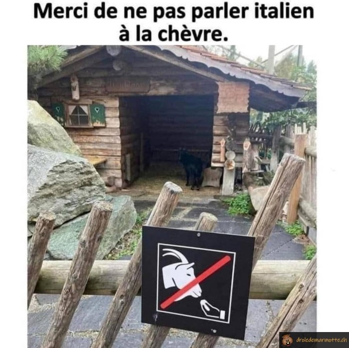 Ne pas parler italien aux chèvres