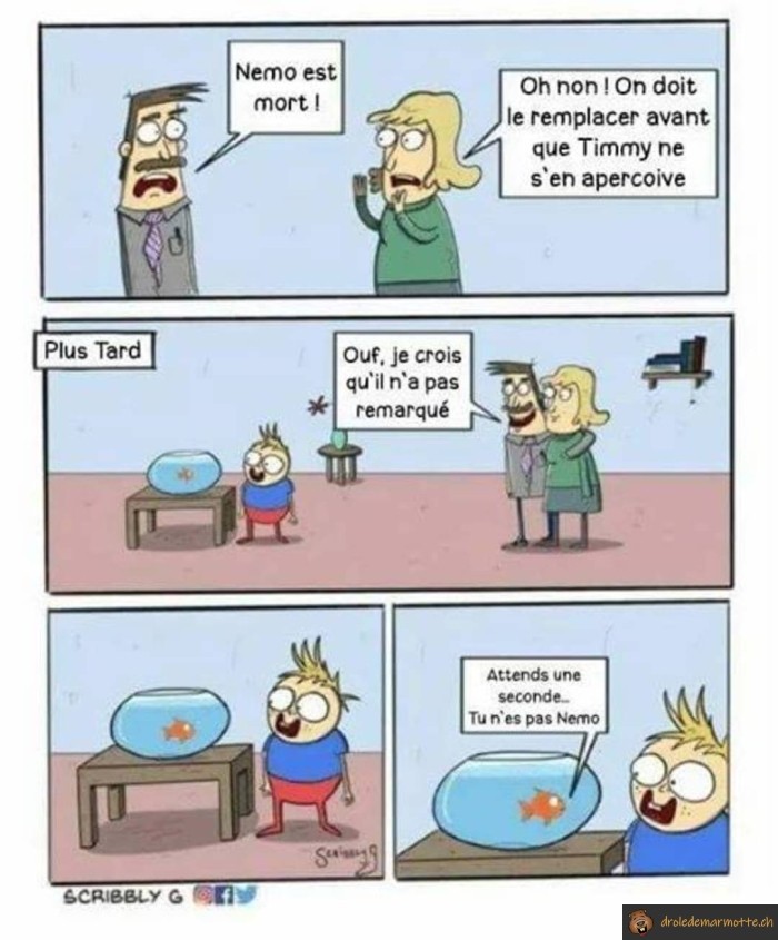 Nemo est mort