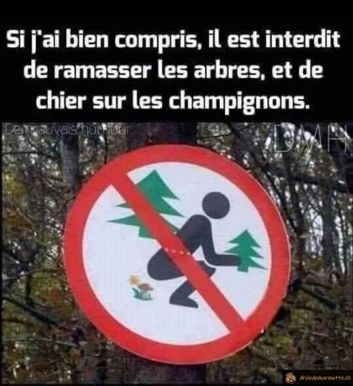 Panneau forêt