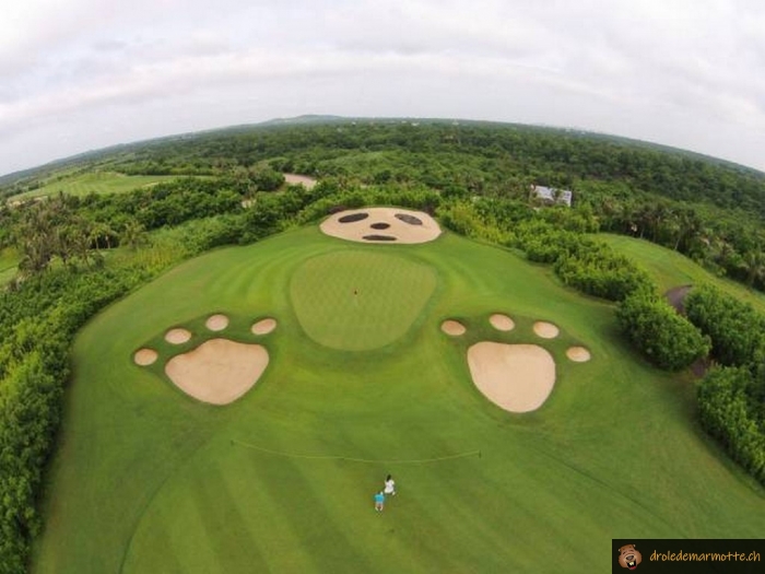 Parcours de golf panda