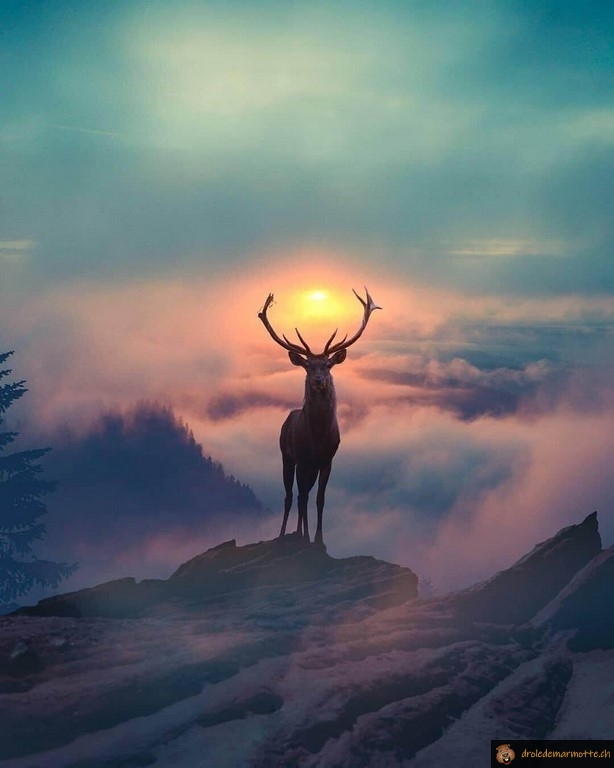Parfait timing avec le soleil
