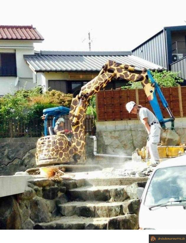 Pelleteuse girafe