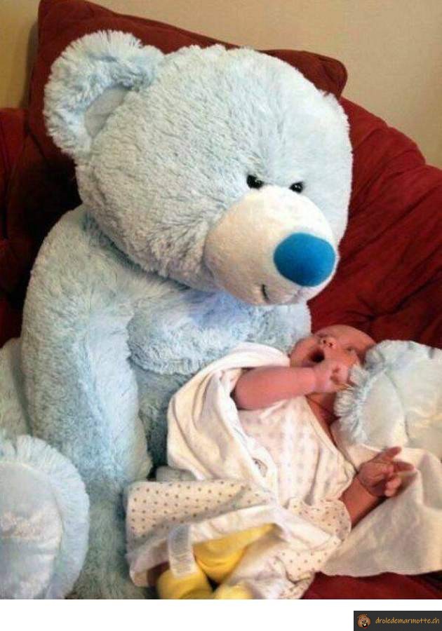 Peur de l'ours bleu