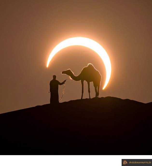 Photo désert éclipse