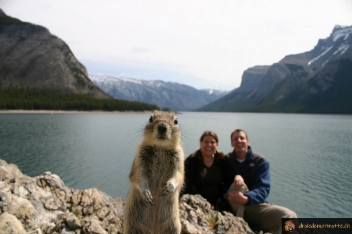 Photobomb magique