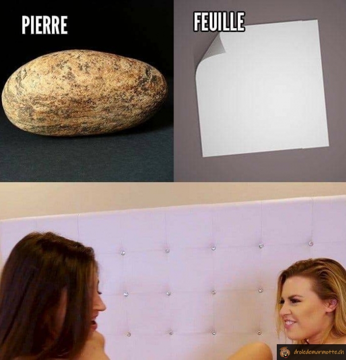 Pierre feuille ....