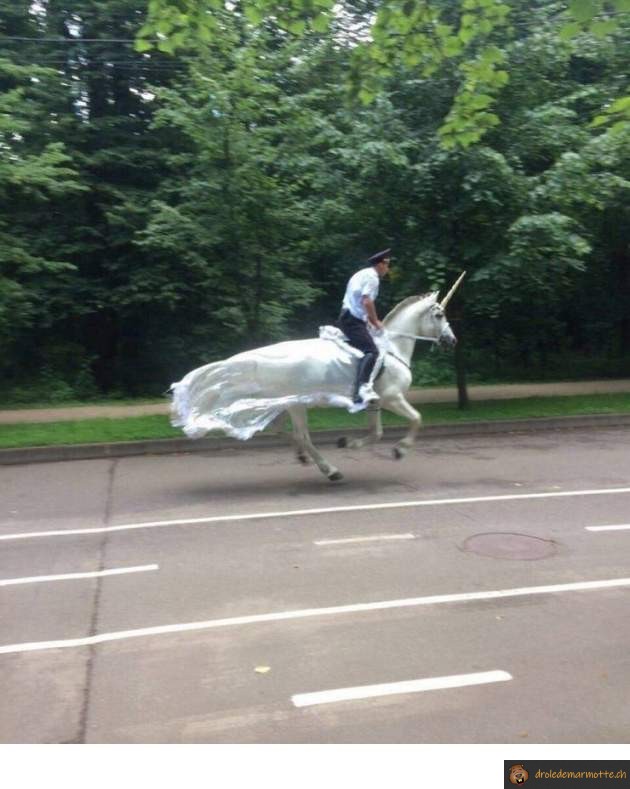 Policier en licorne