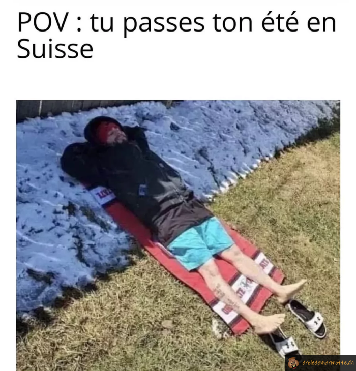 POV tu passes ton été en suisse