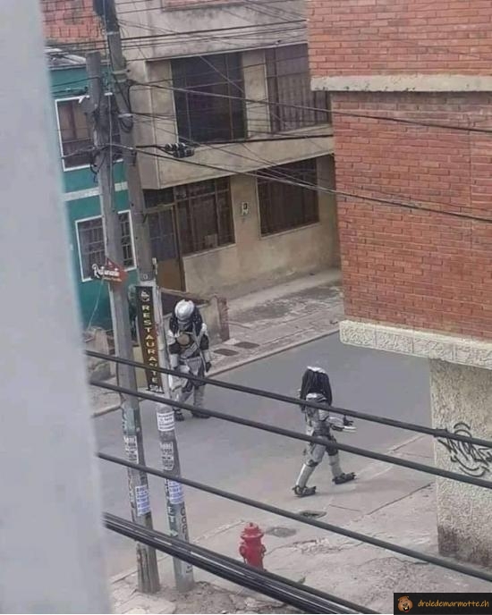 Predator dans la rue